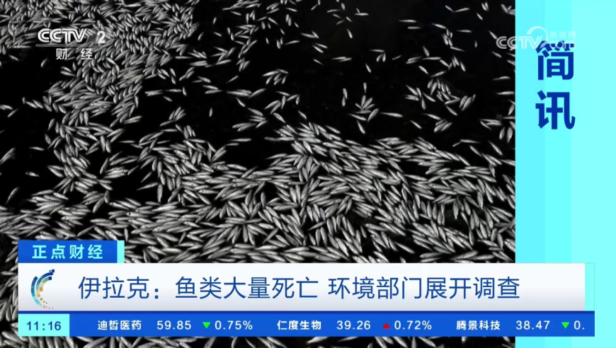 澳门特马313期资料,秧歌指挥官火了 有人跑几百公里看她,决策资料解释落实_内测版V15.4